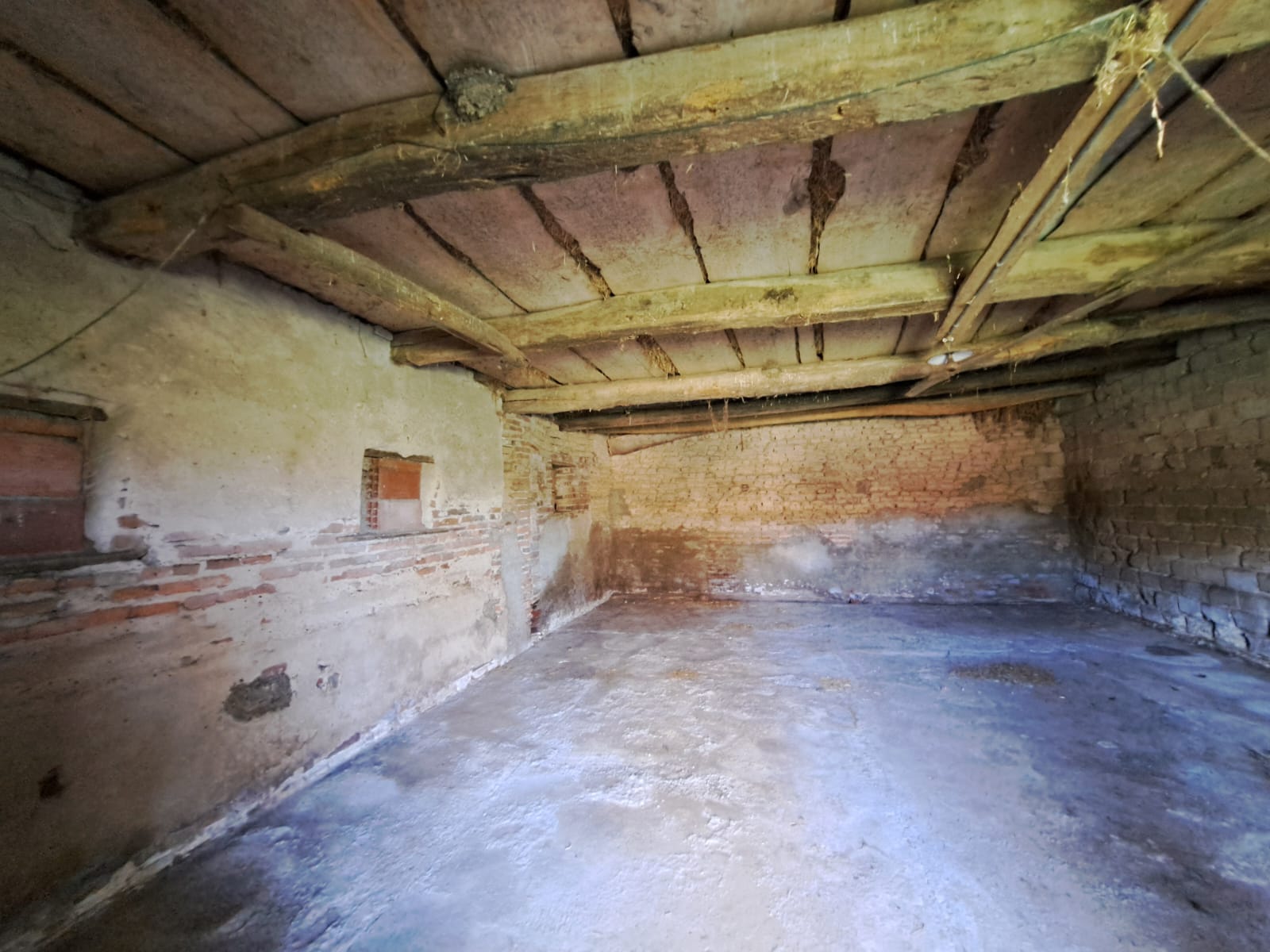 Gallery 8